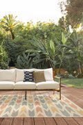 Outdoor Savannah Multicolor Area Rug